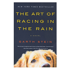 [Download Sách] The Art Of Racing In The Rain