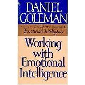 Download sách Working With Emotional Intelligence