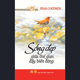 Sống Đẹp Giữa Thế Gian Đầy Biến Động (Tái Bản 2015)