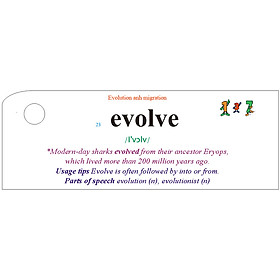 Flashcard Nature Best Quality (T1)