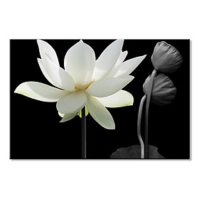 Mua Tranh Canvas Sen Giản Đơn Vicdecor - TCV0077 - 40x60cm