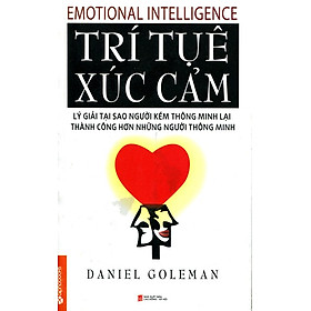 Trí Tuệ Xúc Cảm (Emotional Intelligence) - Tái Bản 2014)