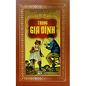 Download sách Trong Gia Đình (Trí Việt)