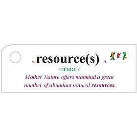 Flashcard The Energy Crisis Best Quality (U16)