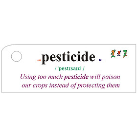 Flashcard The Natural World Best Quality (U9)