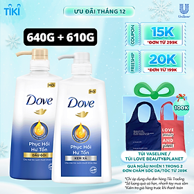 Combo Dove Phục Hồi Hư Tổn Dầu Gội 640g + Kem Xả 610g