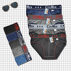 Combo 5 Quần lót nam CITYMEN - Quần sịp nam tam giác Việt Nam (Nhiều Màu)