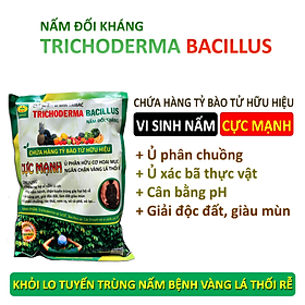 Chế phẩm vi sinh Trichoderma TRIBAC. Nấm đối kháng cực mạnh. Ngăn chặn tuyến trùng, nấm bệnh gây vàng lá thối rễ. Ủ phân chuồng hoai mục