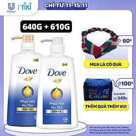 Combo Dove Phục Hồi Hư Tổn Dầu Gội 640g + Kem Xả 610g