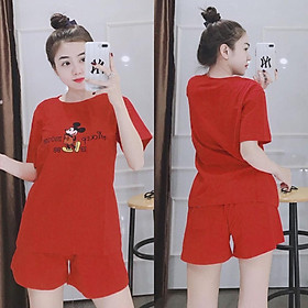 Set áo thun nữ quần đùi mặc nhà nhiều màu xinh xắn MK / CÓ SIZE XXL