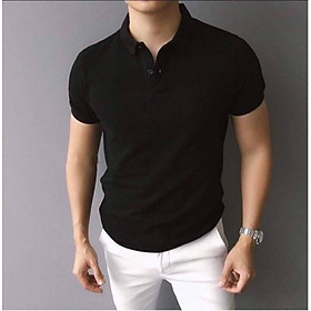 Áo Polo nam thun cotton trơn basic