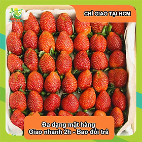 [CHỈ GIAO HCM] Dâu tây giống Newzealand - Hộp 250gr