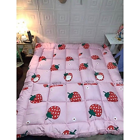Nệm giường Topper đa năng tiện dụng 1m4x2m