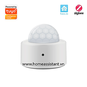 Mua Cảm Biến Chuyển Động Hồng Ngoại Zigbee Tuya ZER02 (Hỗ trợ Home Assistant)