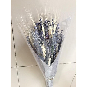 Mua COMBO LÚA MẠCH & LAVENDER