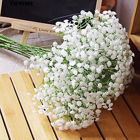Bộ 2 gói Hạt giống hoa baby trắng dể trồng ,hạt giống tốt -1 gói 50 gram