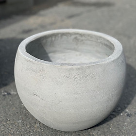 Chậu xi măng gáo dừa