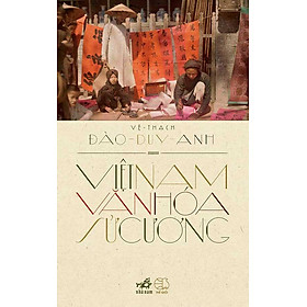 Việt Nam Văn Hóa Sử Cương
