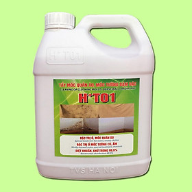 Tẩy mốc HT01 (Tẩy mốc quần áo, mốc tường đậm đặc H+T01-1,8L)