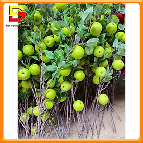 Mua Cành Quả Nhân Tạo Cành Quả Táo Giả Cắm Bình Trang Trí Để Bàn Nhà Cửa Độc Đáo DG-538
