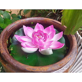 Mua Hoa Sen Xốp Nổi Trên Nước Hoa Sen Trang Trí Hồ Cá Hòn Non Bộ