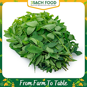 Rau Bồ Ngót (300gr/gói) - Chuẩn An Toàn VietGap