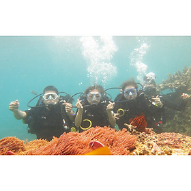 NHA TRANG: Tour 4 Đảo Và Lặn Biển Khám Phá Thế Giới Đại Dương Ngắm San Hô Trọn Gói Xe Đưa Đón Khách Sạn + Canoe/Tàu Ra Đảo + Ăn Trưa + Vé Tham Quan