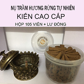 Mua Nụ Trầm Hương Tự Nhiên Kiến Rừng Cao Cấp