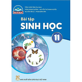 Sách Bài Tập Sinh Học 11- Chân Trời Sáng Tạo (Kèm Nilon bọc Sách)
