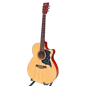 Mua Đàn guitar acoustic SVA2 - gỗ nguyên tấm có ty dễ tập độ bền cao