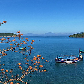 Tour Cù Lao Chàm - Thiên Đường Biển Đảo - Khởi Hàng Hàng Ngày