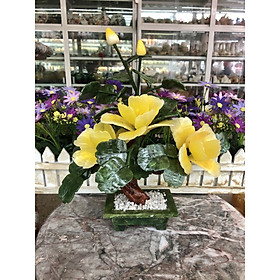 Mua Cây Hoa Trà phong thủy đá bạch ngọc và đá thạch anh vàng - Cao 30 cm