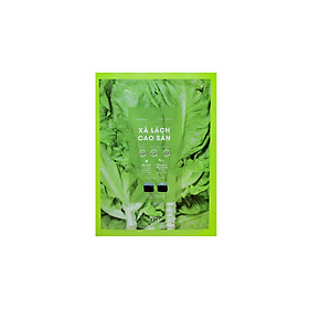 Combo 5 Gói Hạt Giống Xà lách cao sản Thuận Thành Seeds