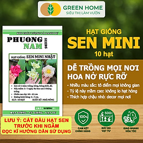 Hạt Giống Hoa Sen Mini GreenHome,  Gói 10 Hạt, Nhiều Màu, Dễ Trồng, Dễ Chăm, Nảy Mầm Tốt H01