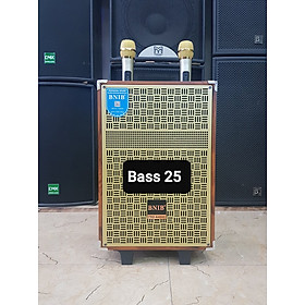 Mua Loa kéo Karaoke Bluetooth BNIB M10: Bass 25  Có 2 Micro không dây đi kèm