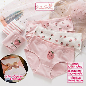 Set 5 quần lót nữ cotton mềm mại trắng dâu hồng vải kháng khuẩn