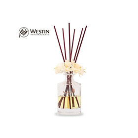 Mua Que mây tán hương khách sạn 5* Westin Hotel
