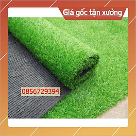 Mua Thảm cỏ nhựa nhân tạo giá rẻ sợi cỏ dài 2cm  có cắt theo yêu cầu( rộng 2m)