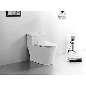 Bồn cầu 1 khối C8020