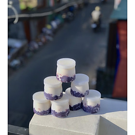 SUA CHUA NEP CAM