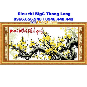 Mua Tranh thêu chữ thập cành hoa mai vàng Mai khai phú quý 222437 chưa thêu