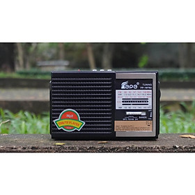 Mua 0357628205 Đài FM RADIO FP-1975U- Loa nghe nhạc kết hợp đài radio có thiết kế cổ điển  vỏ giả gỗ 0357628205