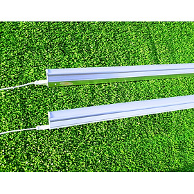 Combo 2 Bóng Đèn Led Tuýp T5 Liền Máng 60cm Ánh Sáng Trắng, Đèn Led Tube 0,6m Công Suất