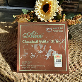 Mua Dây đàn guitar classic tầm trung Alice AWR18 - Tặng kèm phím gảy