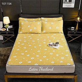 Bộ 3 Món - Chiếu Điều Hòa Cao Su Non Tencel Latex Cao Cấp Loại 1 - Chiếu Làm Mát Họa Tiết 2021 - Quà Tặng Hấp Dẫn