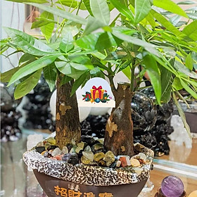 Mua 1 kg Đá Vụn Ngũ Sắc (SALE) - Đá Phong Thủy