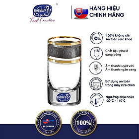 Mua Bộ 6 ly uống rượu mạnh pha lê cường lực mạ vàng platin 24k 070ml Tiệp Khắc