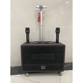 Loa kéo di động Karaoke Hayman X8-8 ( 2 Micro)