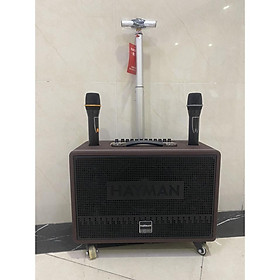 Mua Loa kéo di động Karaoke Hayman X8-8 ( 2 Micro)