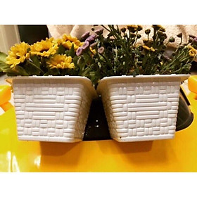 Chậu nhựa vuông trắng giả mây KT: 18x18cm